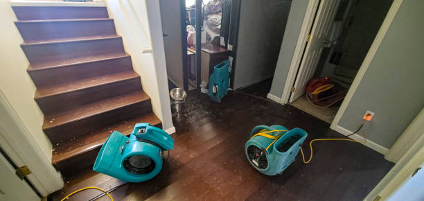 Best Professional water damage repair  in Armona, CA