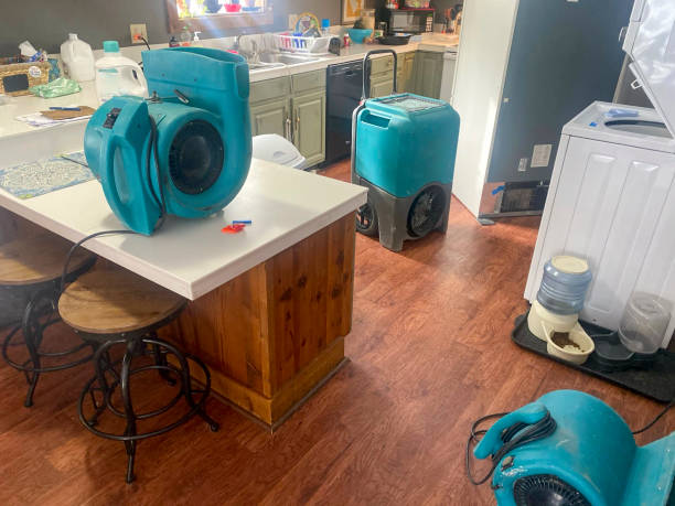 Best Fire Damage Restoration  in Armona, CA