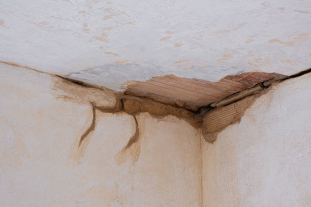 Best Water damage restoration near me  in Armona, CA