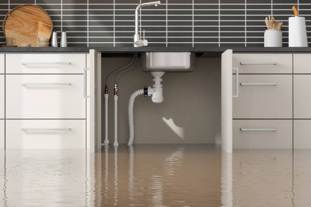Best Residential water damage restoration  in Armona, CA