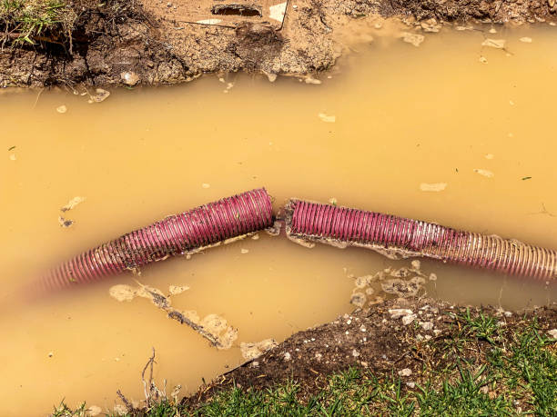 Best Water damage contractors near me  in Armona, CA